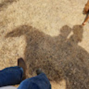 Meet your Posher, Shylee